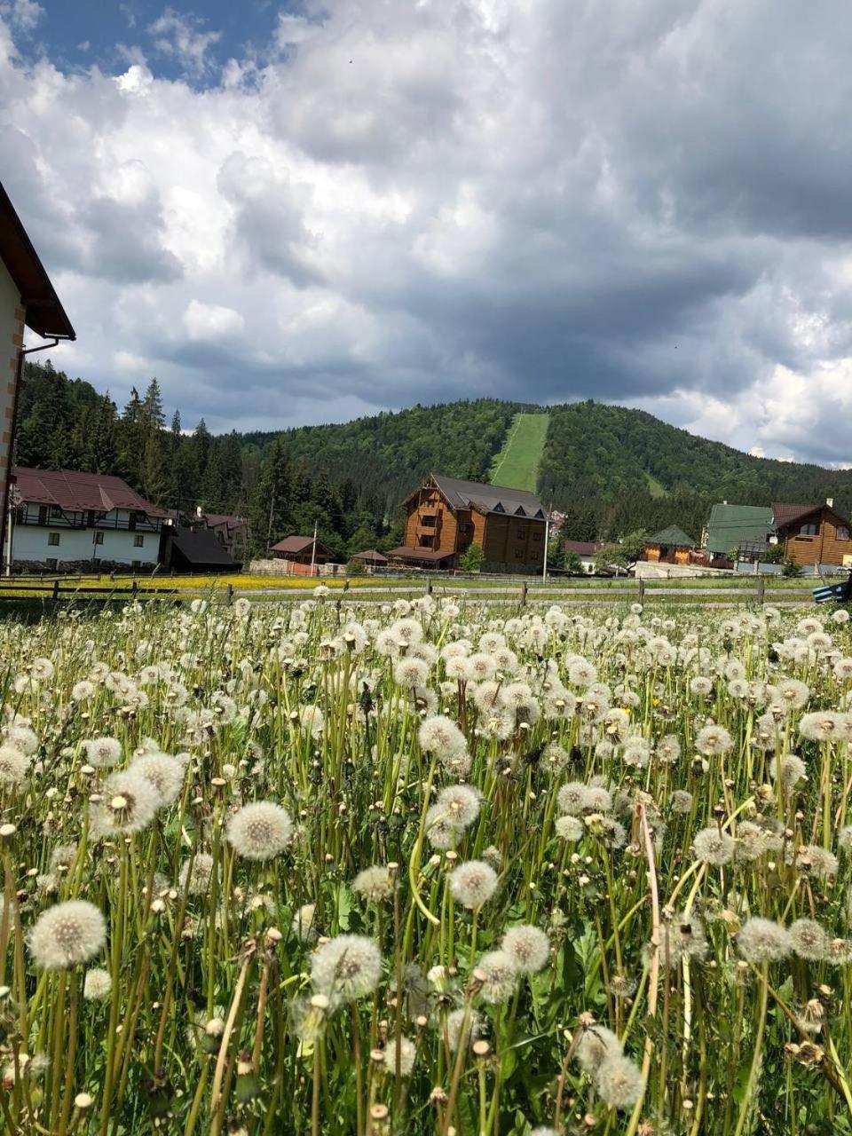 Sadyba U Halyny Sunrise Boekovel Buitenkant foto