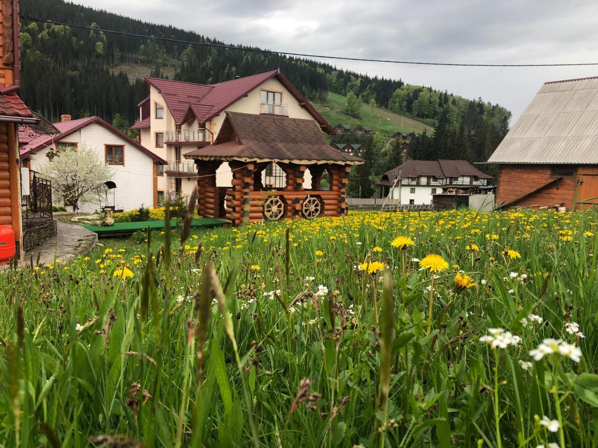 Sadyba U Halyny Sunrise Boekovel Buitenkant foto