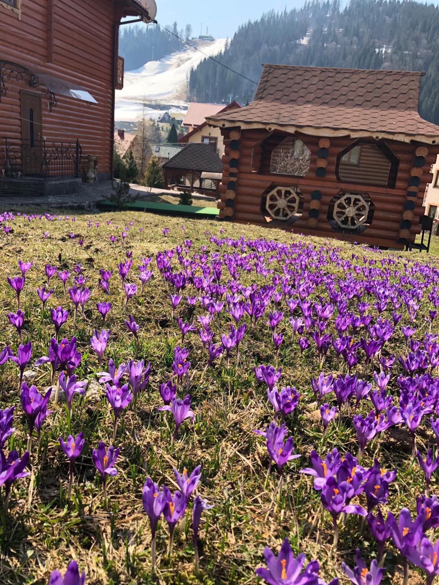 Sadyba U Halyny Sunrise Boekovel Buitenkant foto